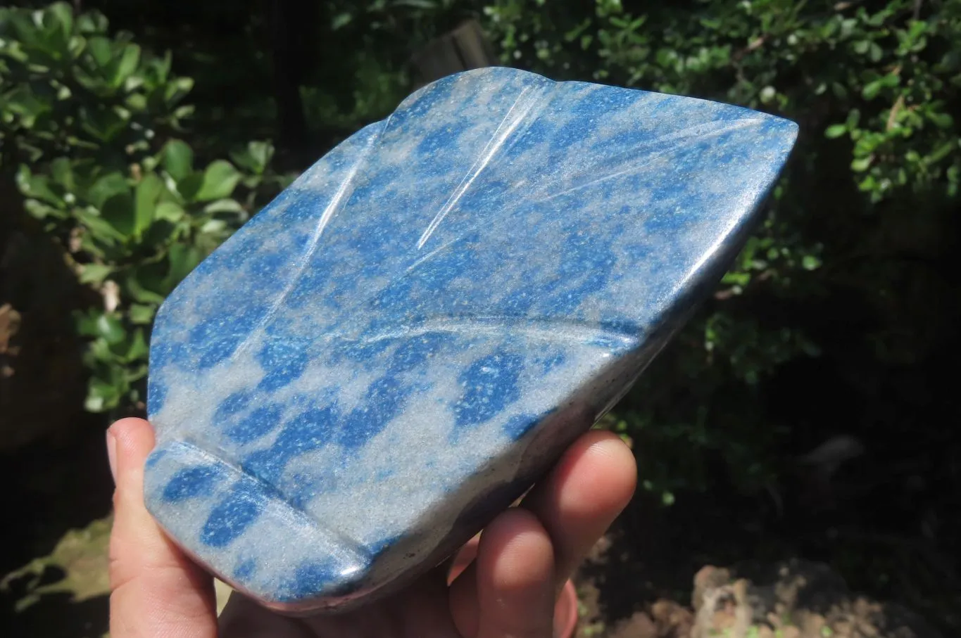 Polished Blue Spotted Spinel Quartz Standing Leaf Carvings x 2 From Madagascar