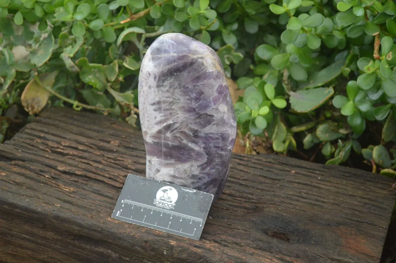 Polished Dream Amethyst Standing Free Form x 1 From Madagascar