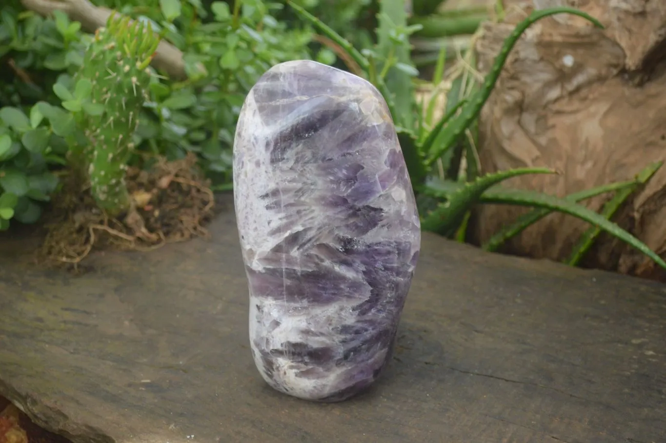 Polished Dream Amethyst Standing Free Form x 1 From Madagascar