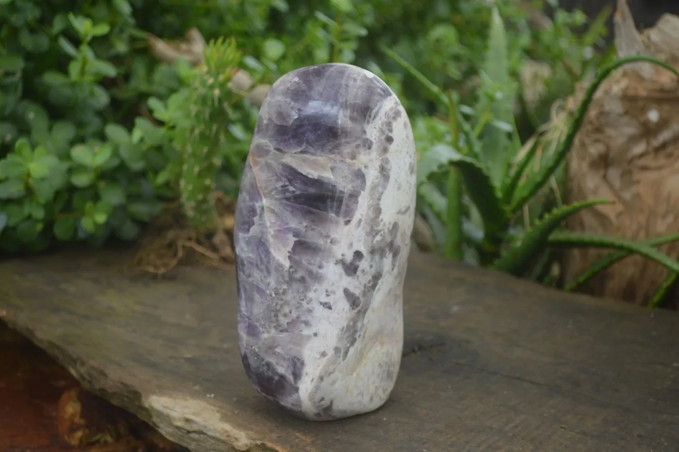 Polished Dream Amethyst Standing Free Form x 1 From Madagascar