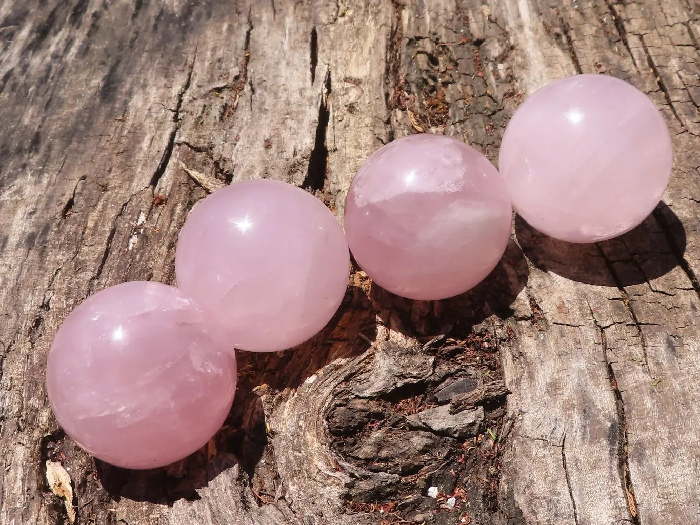 Polished Star Rose Quartz Spheres x 4 From Ambatondrazaka, Madagascar