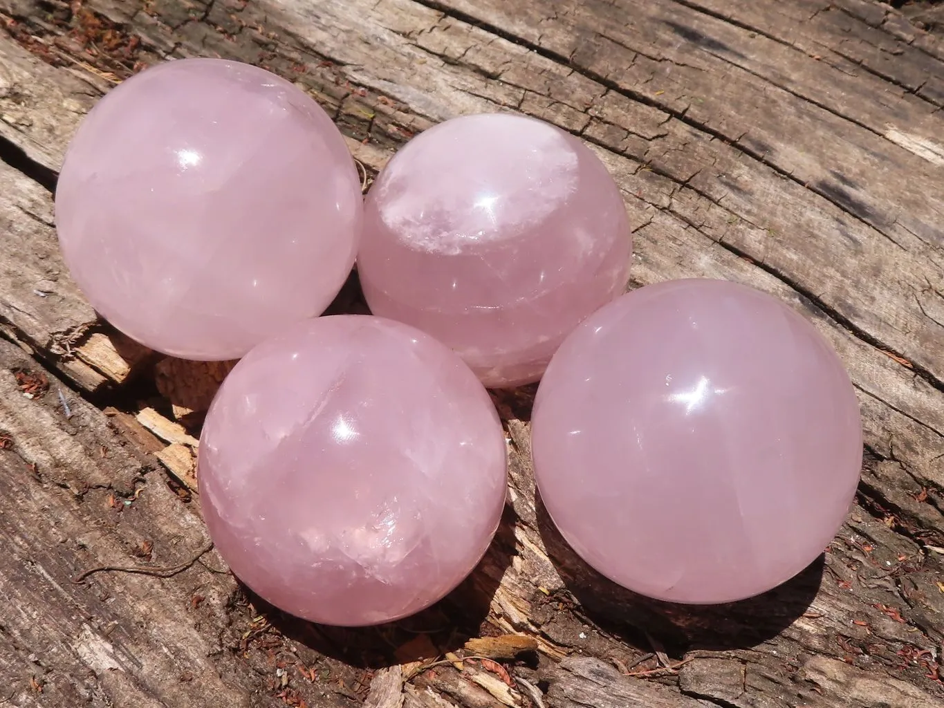 Polished Star Rose Quartz Spheres x 4 From Ambatondrazaka, Madagascar