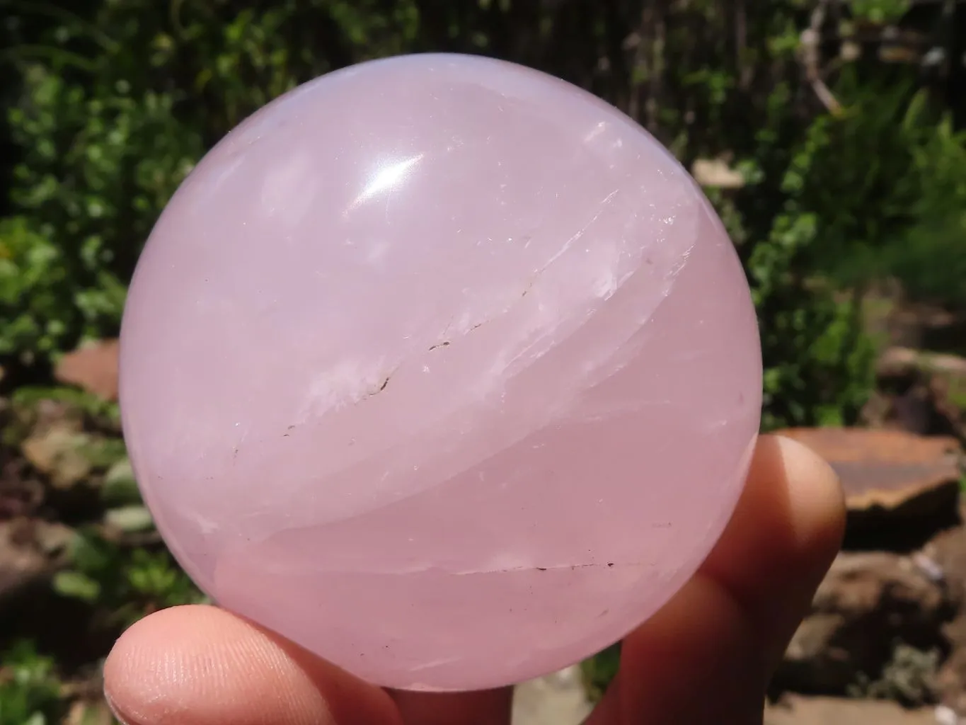 Polished Star Rose Quartz Spheres x 4 From Ambatondrazaka, Madagascar