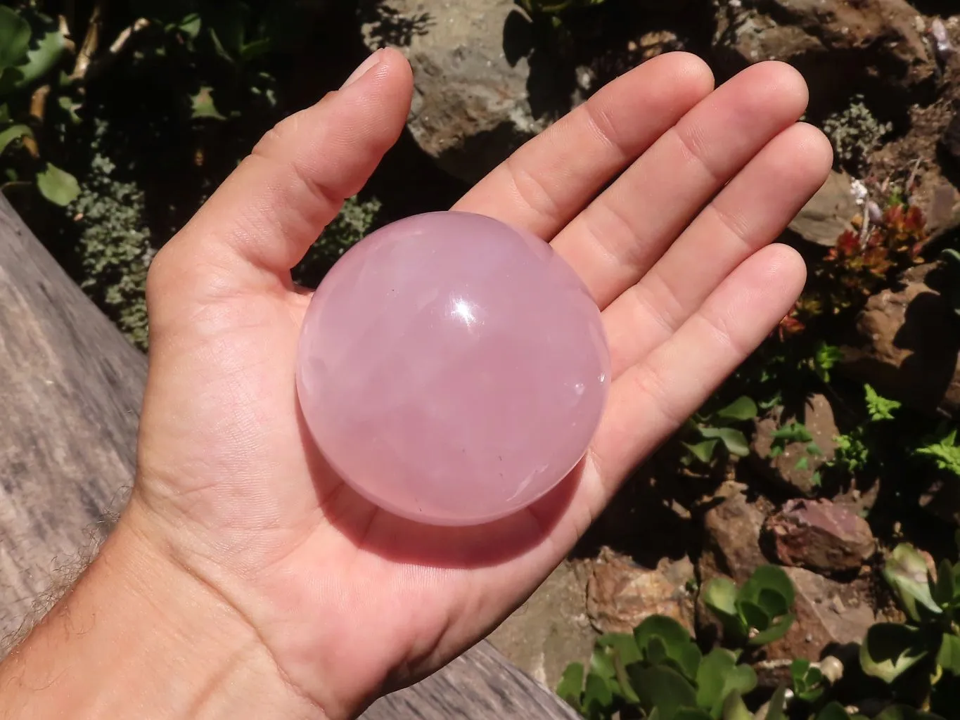 Polished Star Rose Quartz Spheres x 4 From Ambatondrazaka, Madagascar