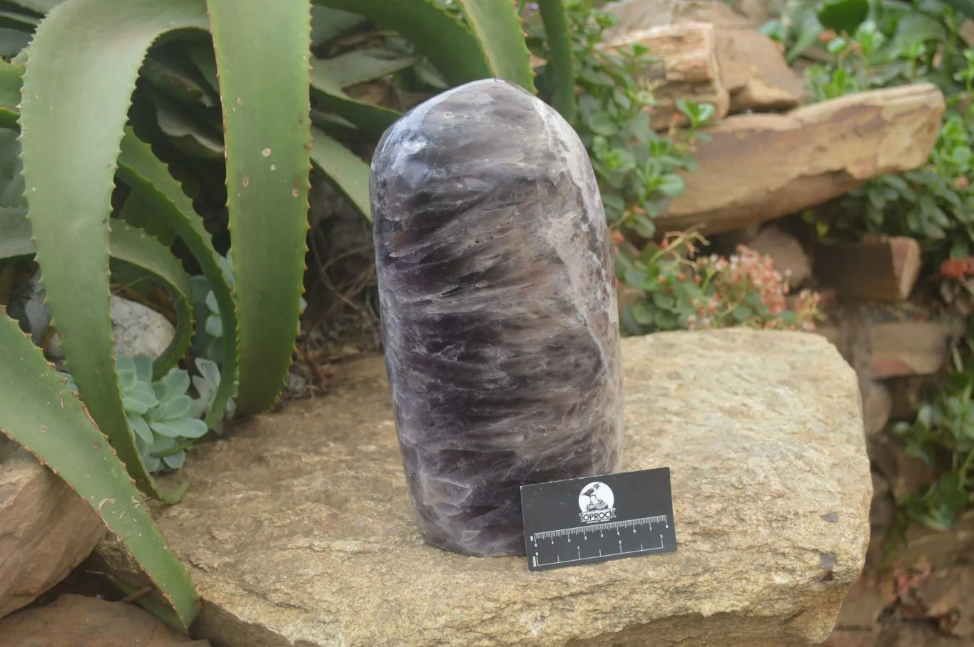 Polished XL Chevron Dream Amethyst Standing Free Form x 1 From Madagascar