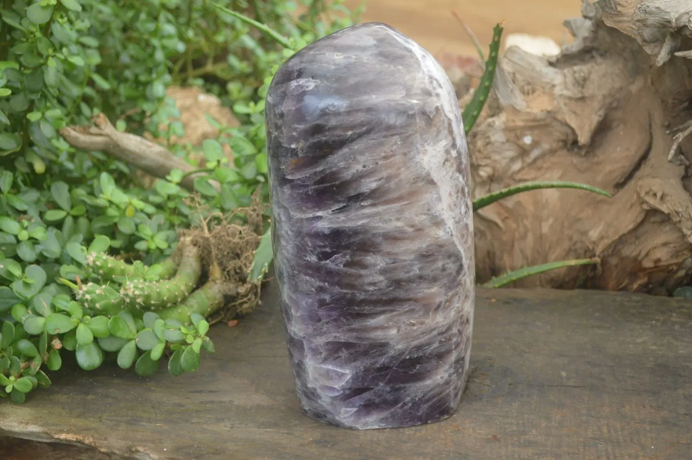 Polished XL Chevron Dream Amethyst Standing Free Form x 1 From Madagascar