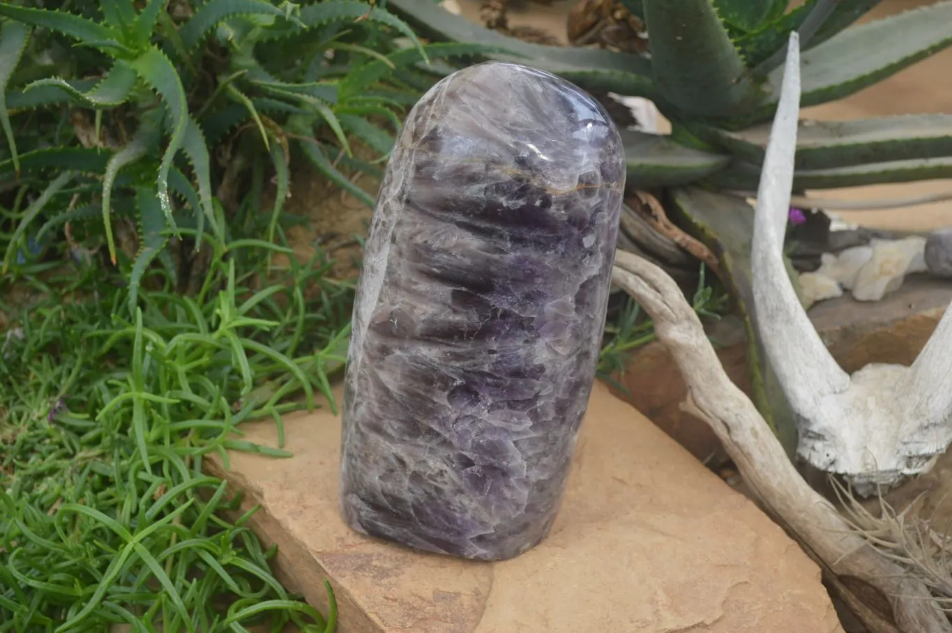 Polished XL Chevron Dream Amethyst Standing Free Form x 1 From Madagascar