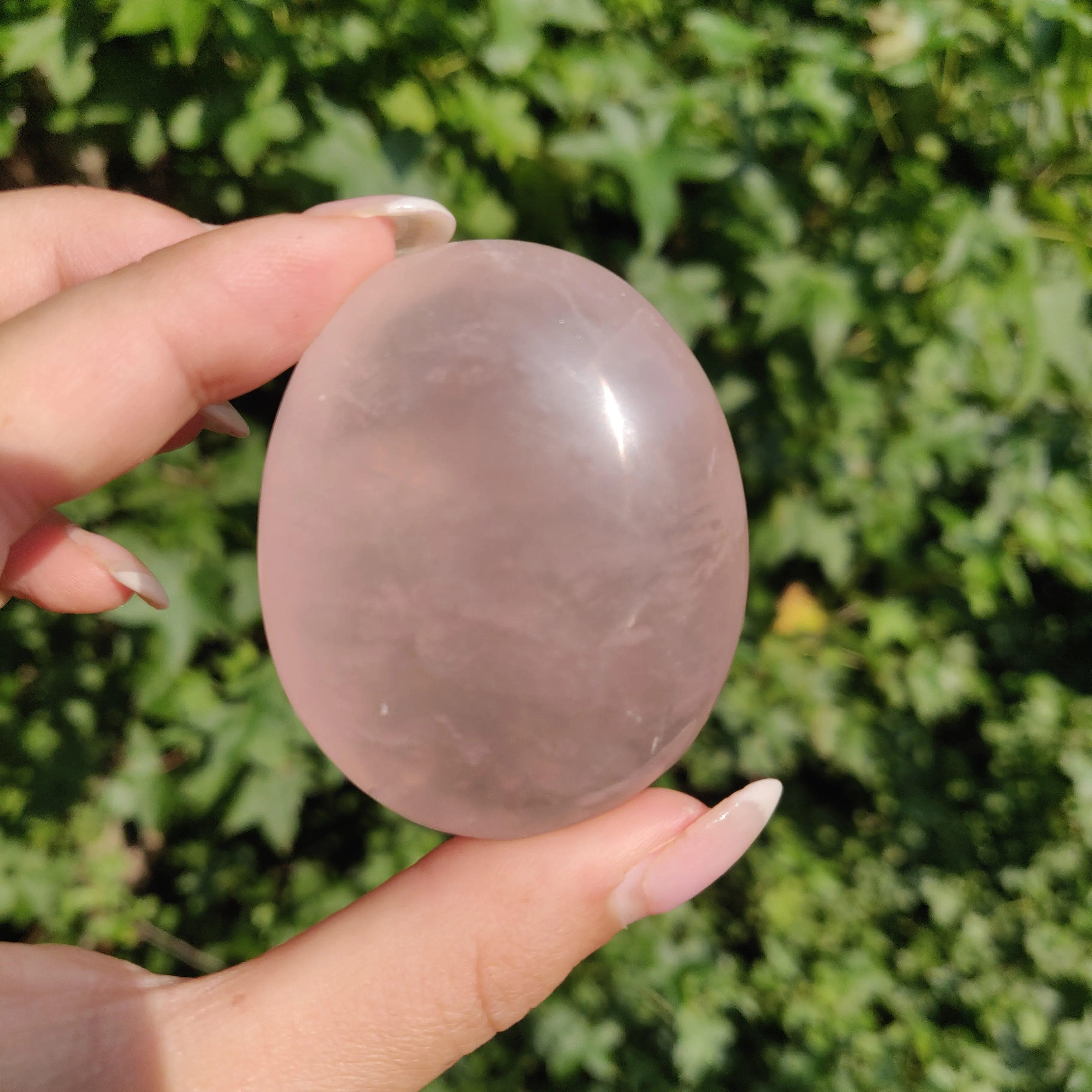 Rose Quartz Palm Stone, Star Rose Quartz (#4)