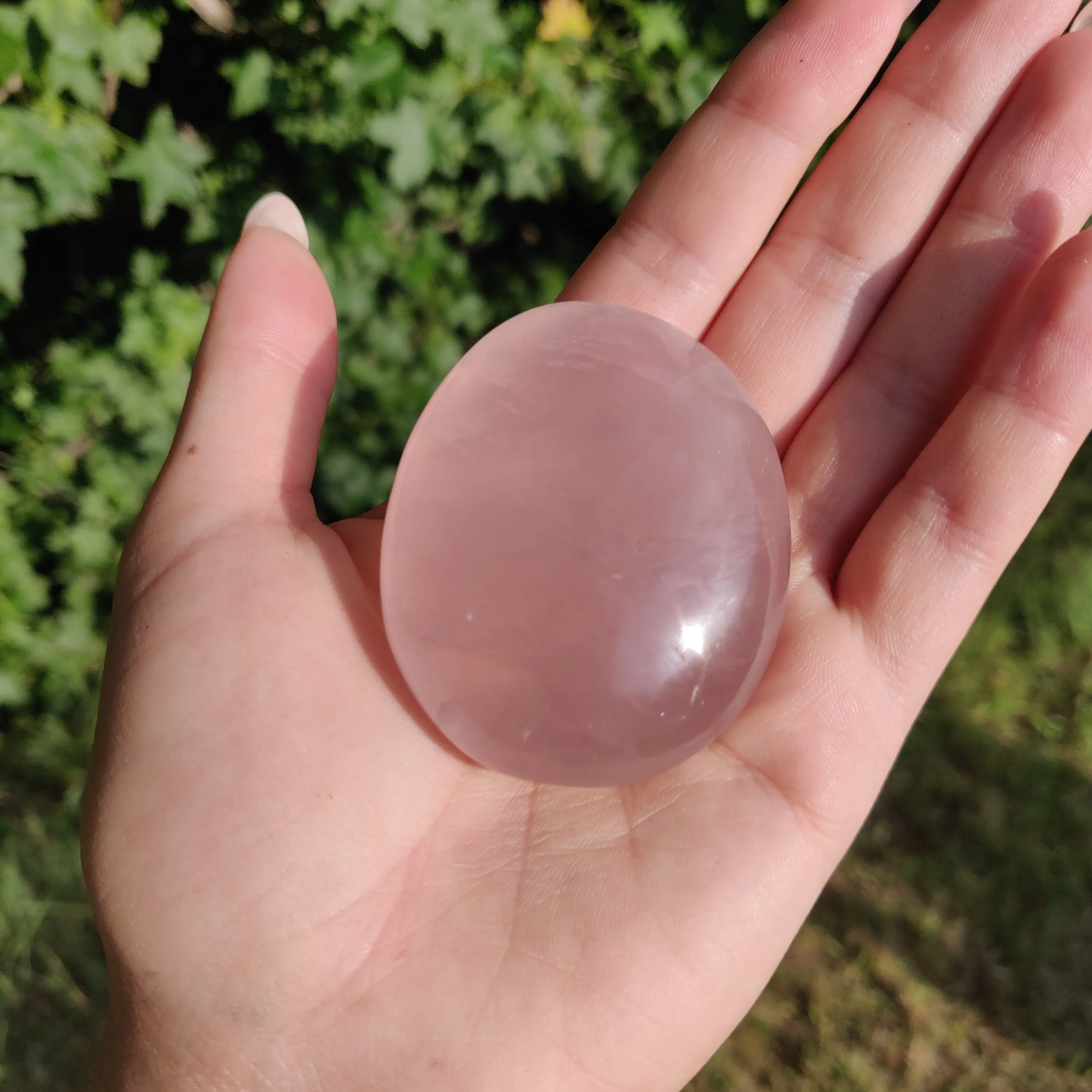 Rose Quartz Palm Stone, Star Rose Quartz (#4)