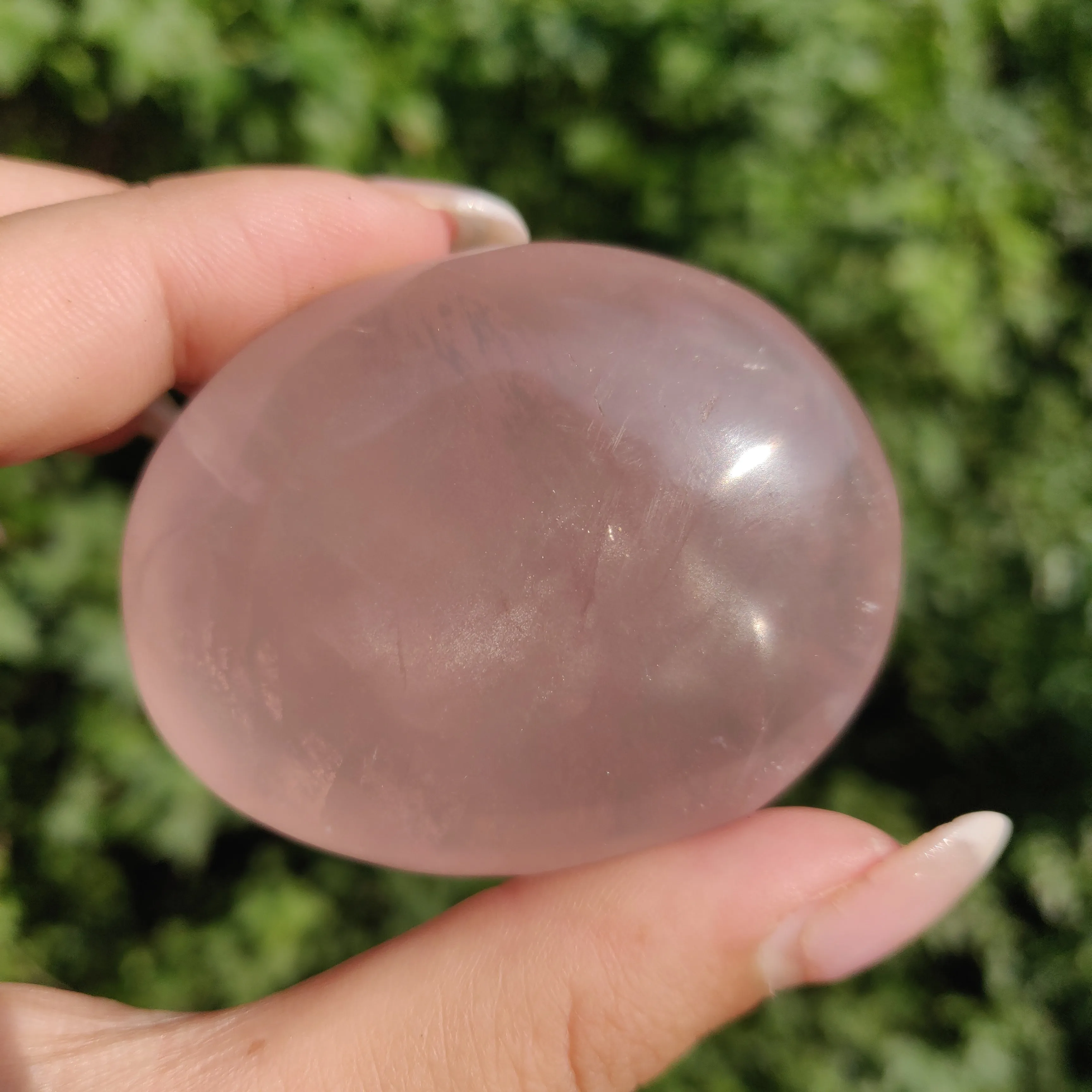 Rose Quartz Palm Stone, Star Rose Quartz (#4)