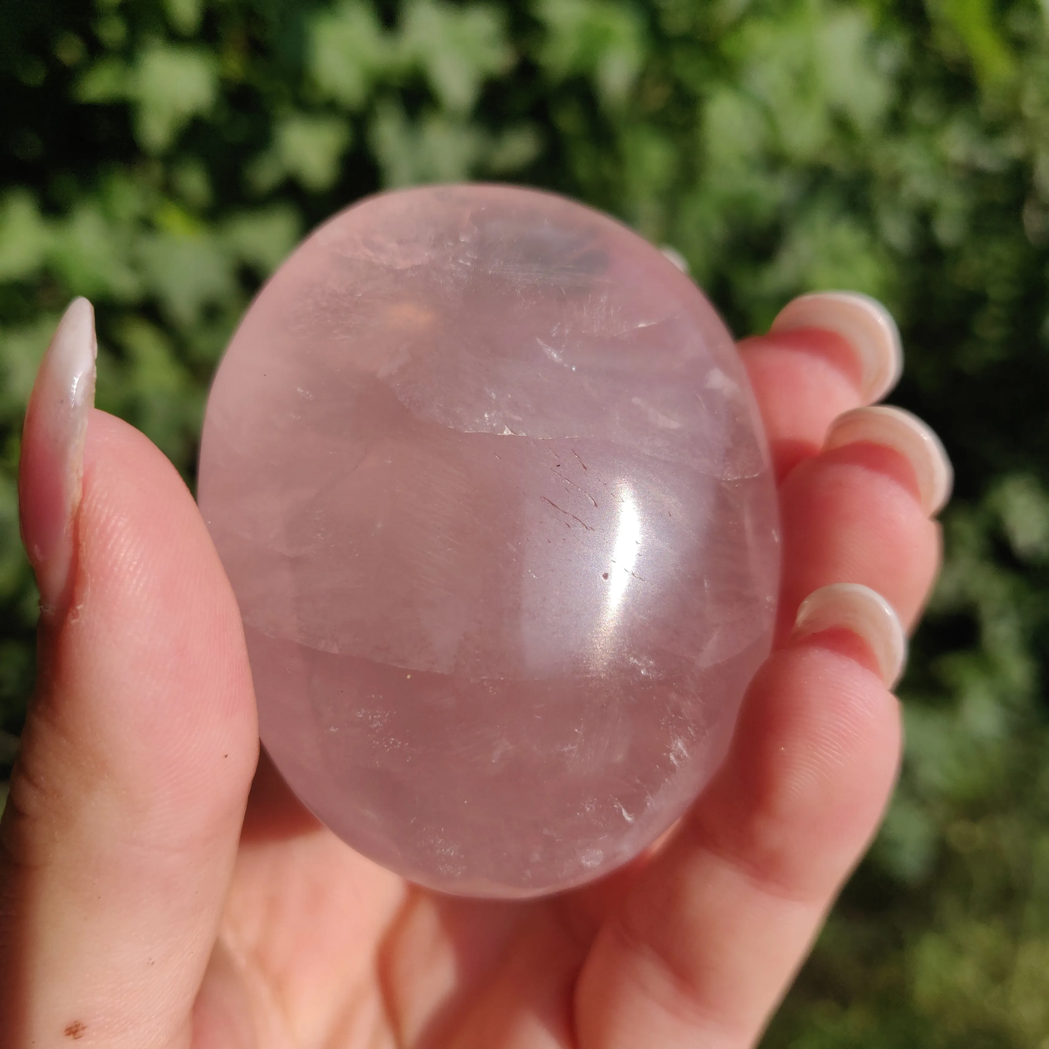 Rose Quartz Palm Stone, Star Rose Quartz (#4)