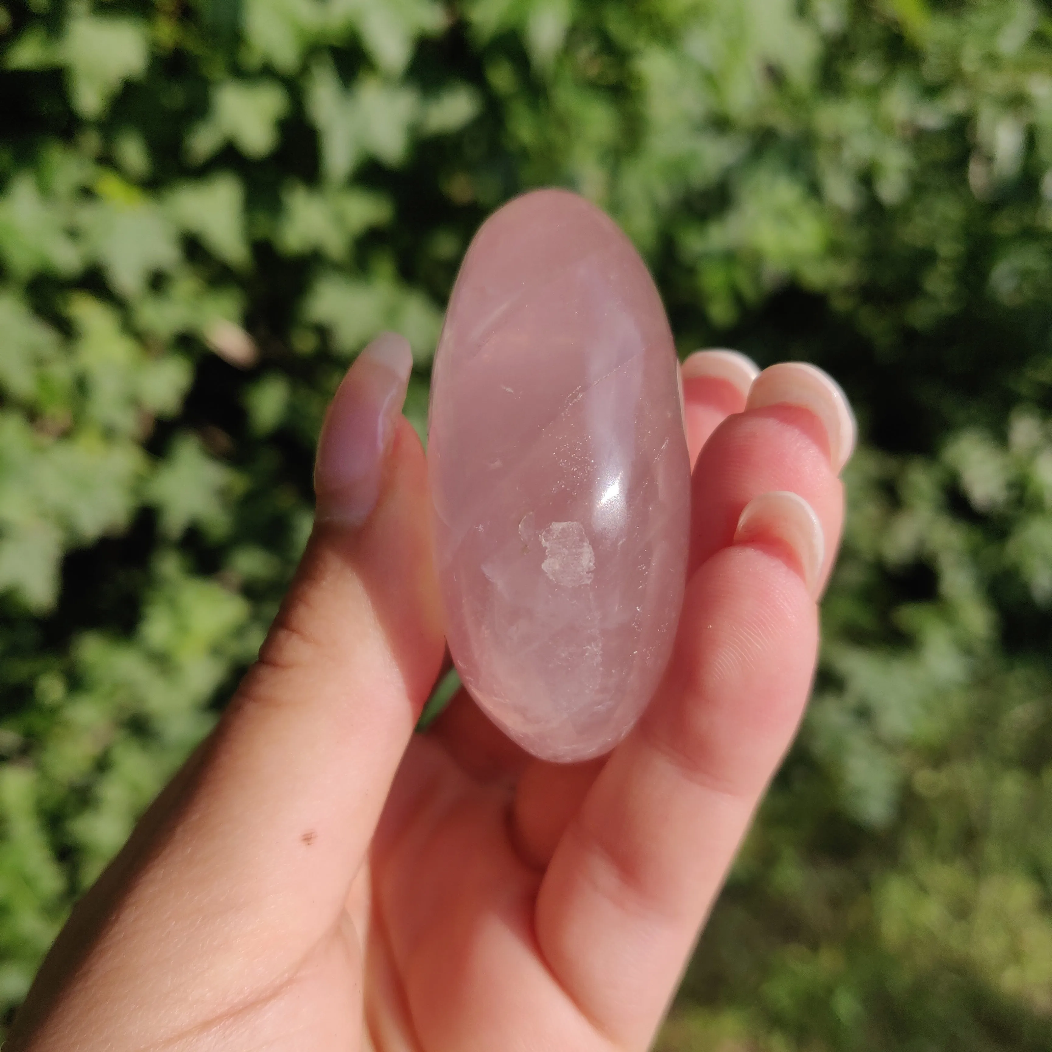 Rose Quartz Palm Stone, Star Rose Quartz (#4)