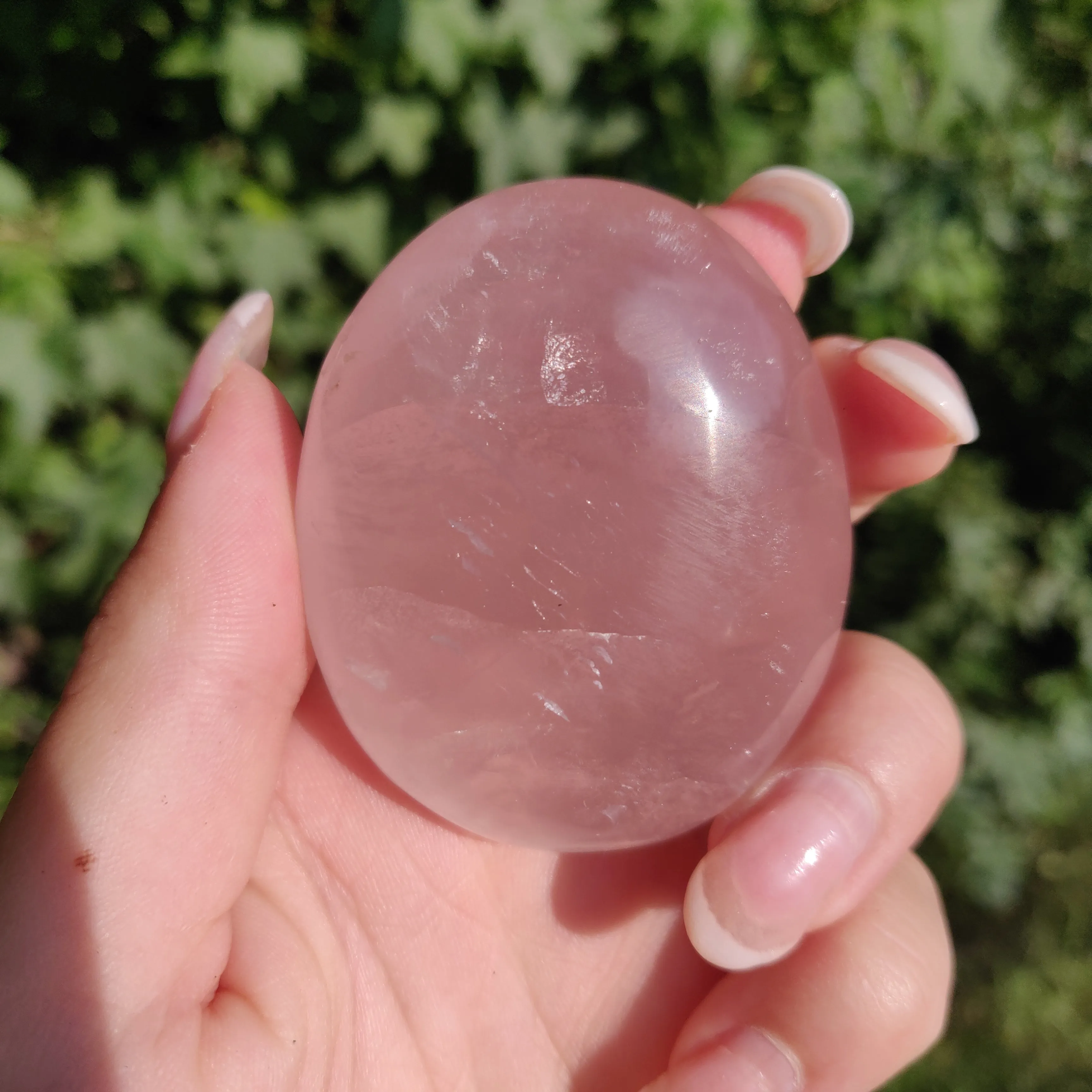 Rose Quartz Palm Stone, Star Rose Quartz (#4)